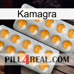 Kamagra levitra2